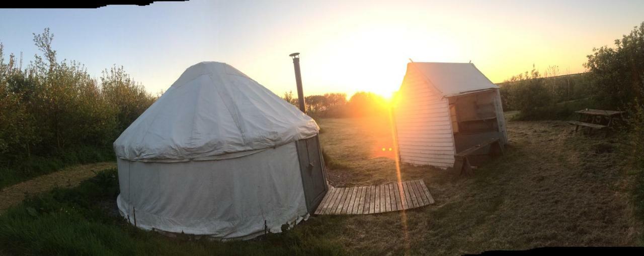 Mill Haven Place Glamping-Yurt 1 Talbenny Exterior foto