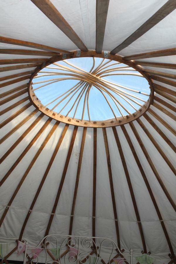 Mill Haven Place Glamping-Yurt 1 Talbenny Exterior foto