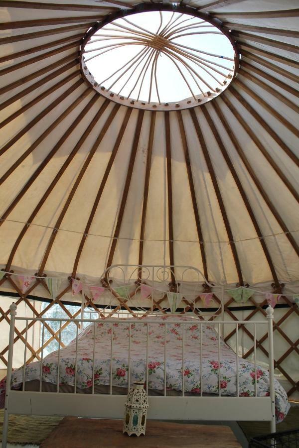 Mill Haven Place Glamping-Yurt 1 Talbenny Exterior foto